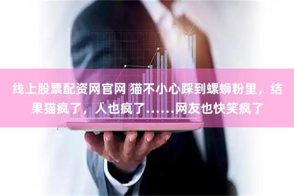 线上股票配资网官网 猫不小心踩到螺蛳粉里，结果猫疯了，人也疯了……网友也快笑疯了