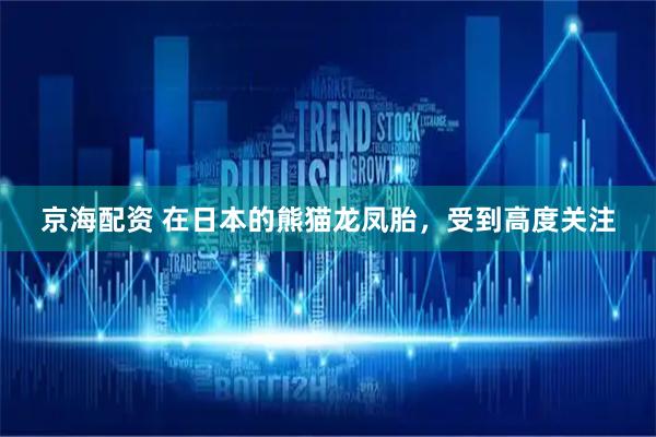 京海配资 在日本的熊猫龙凤胎，受到高度关注