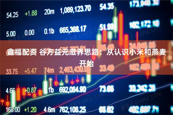 鑫福配资 谷方益元滋养思路：从认识小米和燕麦开始