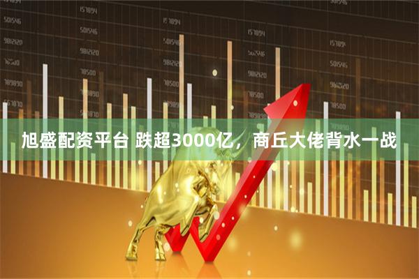 旭盛配资平台 跌超3000亿，商丘大佬背水一战